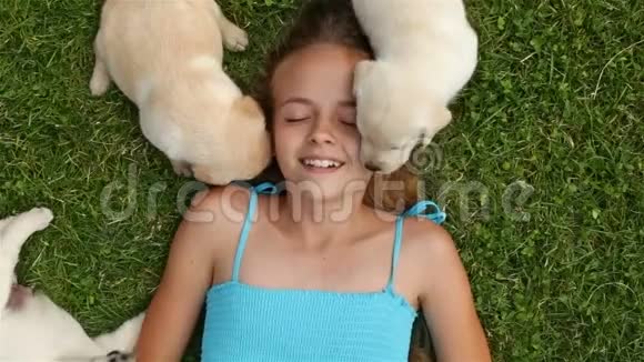 躺在草地上和拉布拉多小狗玩耍的女孩视频的预览图