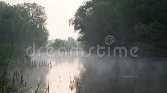 早晨雾气从河面升起视频的预览图
