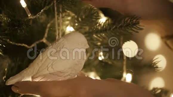 女性用鸟装饰圣诞树视频的预览图
