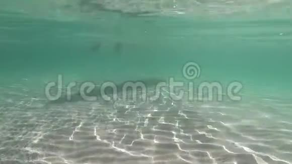 水上运动在水晶海的阴影下白色站立桨板从水下缓慢移动视频的预览图
