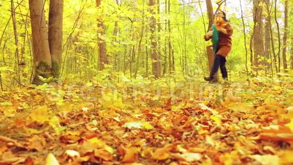 一个年轻的女人在一个秋天的公园里阳光明媚的日子里手里拿着枫叶在vzduh里旋转着扔着视频的预览图