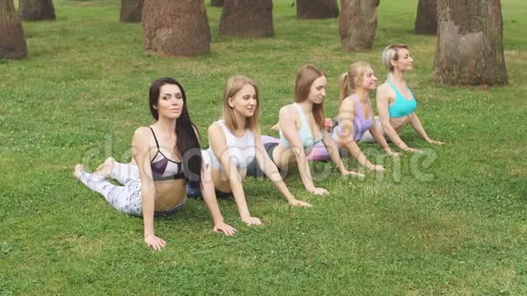 健身女性团体在户外公园花园做瑜伽姿势冥想视频的预览图