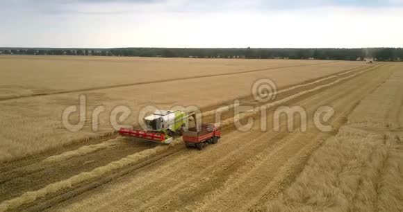 空中观景收割机将收集的小麦倒入红色收割机视频的预览图