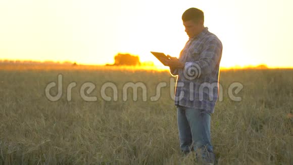 日落时分在麦田里拿着平板电脑的农夫现代农业农业先进技术农夫小麦视频的预览图