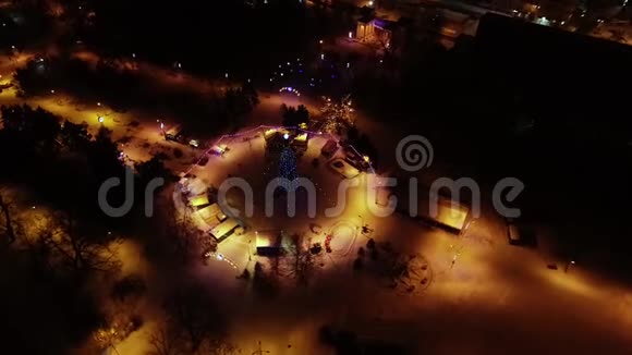在公园中央黑暗的巨大圣诞树中发光空中拍摄视频的预览图