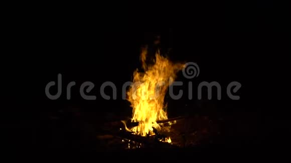 着火了篝火晚会关闭黑色背景下燃烧的火焰慢动作视频的预览图