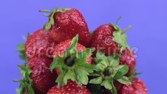 一堆成熟多汁的红色草莓在露珠中旋转分离视频的预览图