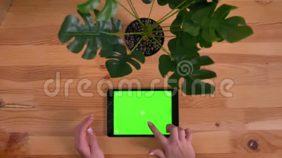 在木桌和植物背景上水平平板的破绿色屏幕上打字的女性手的顶部镜头视频的预览图