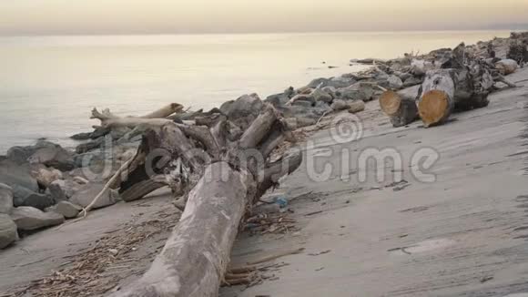 木头和石头躺在河岸上视频的预览图