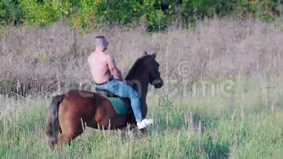 穿着牛仔裤和太阳镜的裸躯干运动员骑着一匹棕色的马上视频的预览图