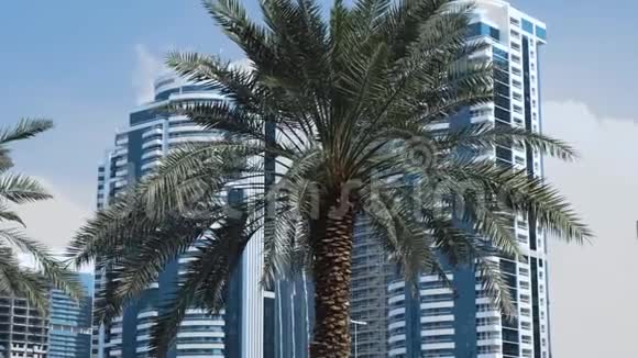与迪拜的摩天大楼亲密接触视频的预览图