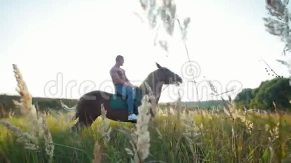 一个体格健壮的人坐在田野中央的马背上顶着夕阳视频的预览图