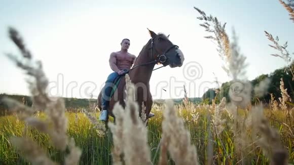 夏天乔克骑着一匹棕色的马在田野的中央视频的预览图