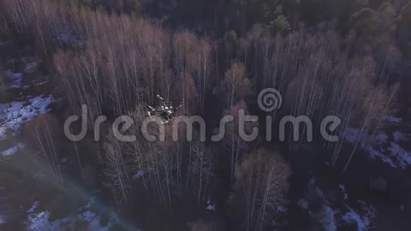 深秋四架飞机在黄树之上飞行地面上有白雪剪辑美丽美丽视频的预览图