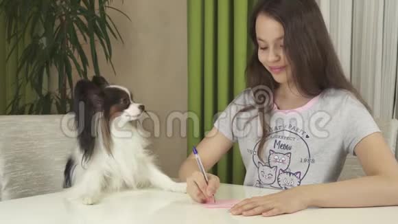 少女与狗狗帕皮隆猜测欲望写欲望到纸片股票视频视频的预览图
