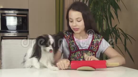 少女和狗狗帕皮隆准备饼干滚动面团与滚动针股票视频视频的预览图
