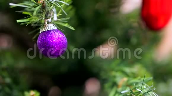 把一个紫色的结霜球贴在圣诞树上视频的预览图