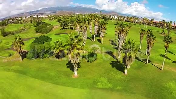 巨大高尔夫球场上的棕榈树背景上的壮丽山脉特内里费视频的预览图