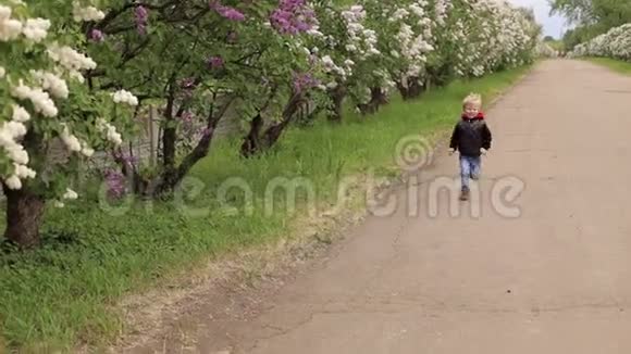 小男孩沿着公园里盛开的小巷奔跑视频的预览图