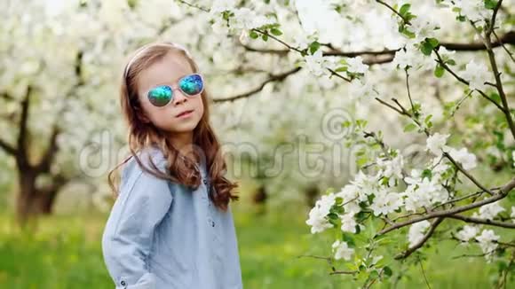戴着太阳镜的小女孩在盛开的苹果园里摆姿势视频的预览图