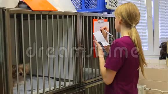 一位年轻的女兽医数着计算器在剪贴板上写着纸一只小狗坐在笼子里视频的预览图
