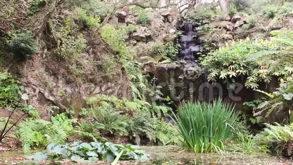 在阳光明媚的日子里美丽而田园的瀑布被茂盛的绿色植被包围着位于葡萄牙辛特拉视频的预览图