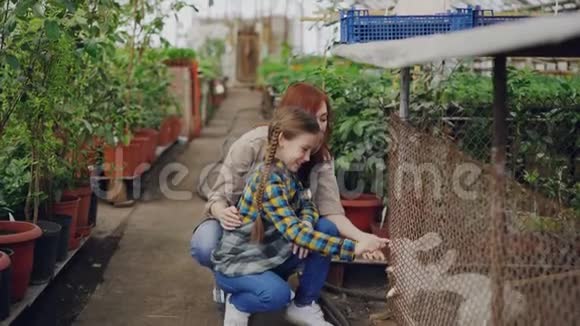 活泼开朗的年轻女子和穿着围裙的好奇的女儿正在农场里看笼养的兔子家养动物快乐视频的预览图