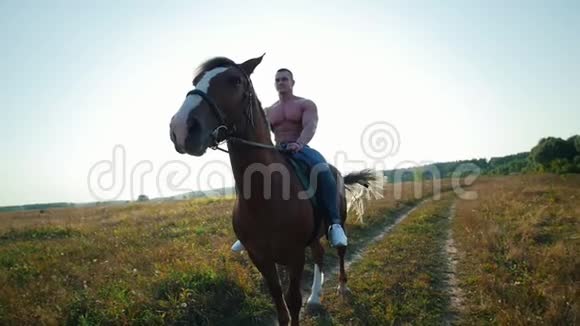 夏天强壮有力的年轻人在田野里骑着一匹强壮的马视频的预览图