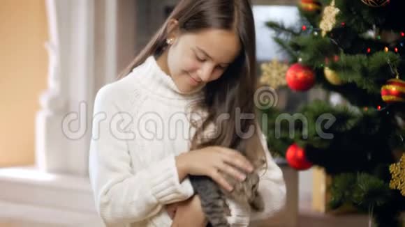 4k视频可爱的小猫和十几岁的女孩在家中的圣诞树下玩耍视频的预览图