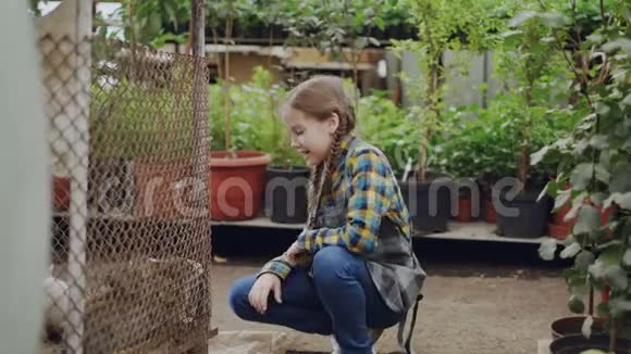 快乐的小女孩在温室里看着笼子里的兔子抚摸它们和有趣的动物聊天绿色植物和视频的预览图
