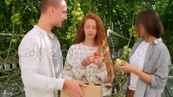 有机农民在温室里检查他的西红柿两个笑着的女孩拿着柳条篮子篮子里放着蔬菜视频的预览图