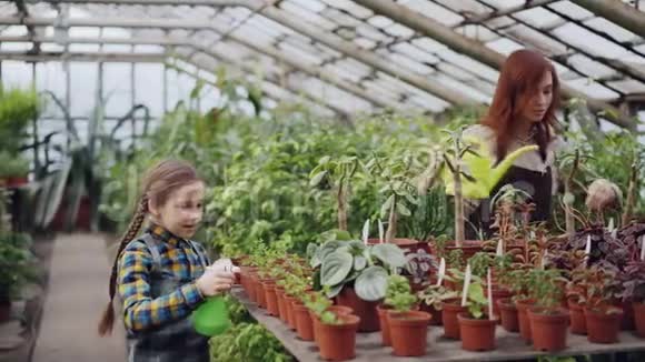 小女孩正在用喷壶喷洒绿壶植物而她的妈妈正在用浇壶浇花成长视频的预览图