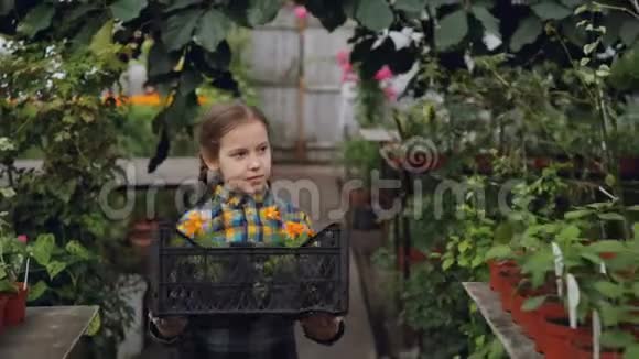 可爱的小女孩正拿着一个容器在温室里放着盆花环顾四周美丽的盛开的植物视频的预览图