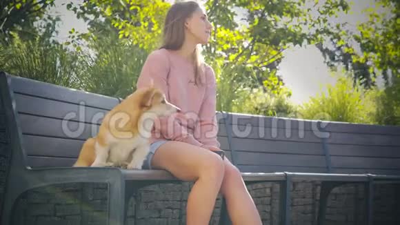 那个年轻的女人和小狗坐在公园的长凳上科吉小狗正坐在公园里视频的预览图