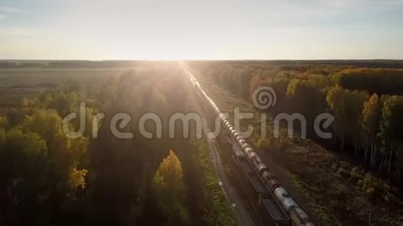 上货运列车在森林中向相反方向移动视频的预览图