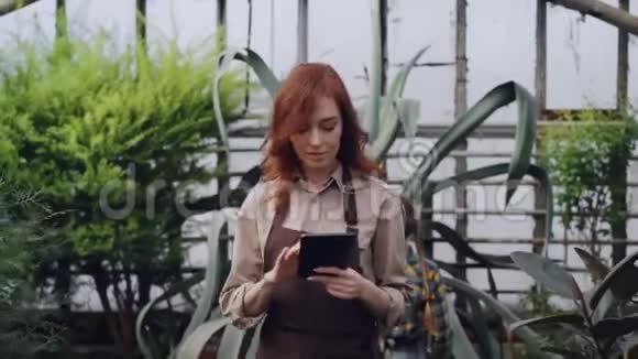 宽敞的温室的主人正在检查和计数植物并使用平板电脑而她好奇的孩子正在视频的预览图