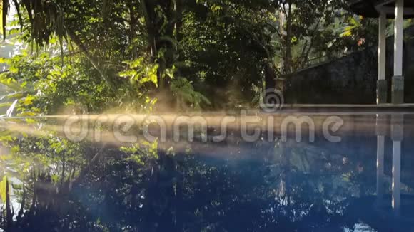 清晨的阳光透过泳池上方的烟雾透过绿色丛林森林中的碧水视频的预览图