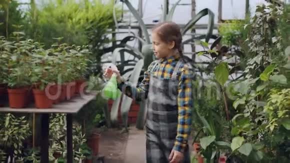 可爱的女孩穿着围裙在用喷雾器浇花而她漂亮的母亲在温室里工作家庭视频的预览图