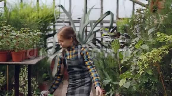 漂亮的女孩走在温室里在她忙碌的母亲工作的时候给绿色植物泼水视频的预览图