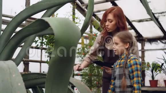 有经验的女园丁和她可爱的女儿正在看温室里的植物在说话有爱心的妈妈视频的预览图