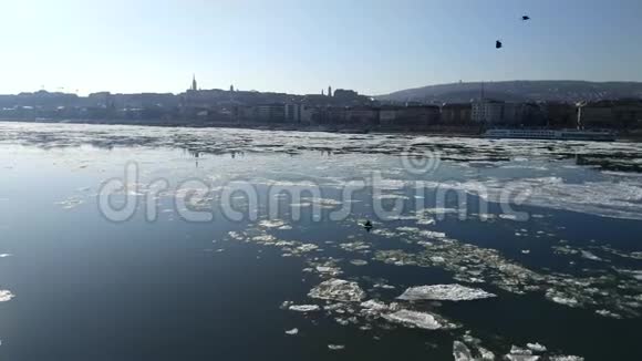 多瑙河上的冰流视频的预览图