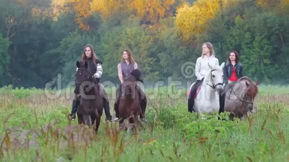 4四个小女孩骑着漂亮的马走在雾蒙蒙的森林附近的草地上视频的预览图