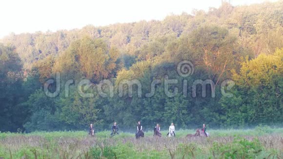 六友骑马在大自然的背景下雾蒙蒙的森林在八月的清晨视频的预览图