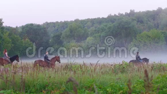 年轻人骑着马在美丽的自然森林雾的背景下行走视频的预览图