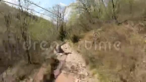 在意大利阿尔卑斯山的树林里的小径上徒步旅行春天的时候一般用途视频的预览图