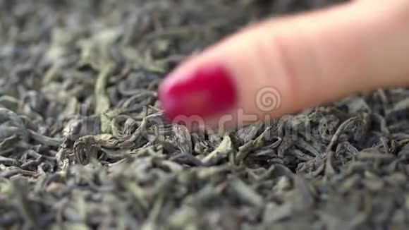 女性手采摘茶叶冲泡中国绿茶干茶叶背景宏观的美丽的干绿视频的预览图