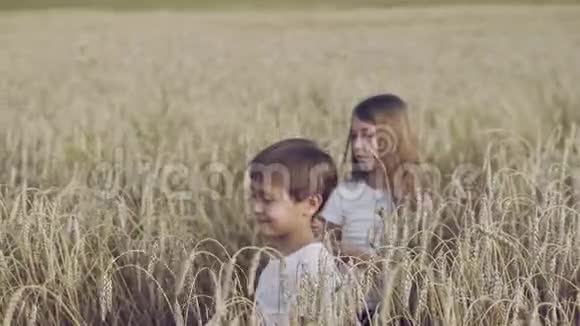 男孩和女孩在小麦童年主题视频的预览图