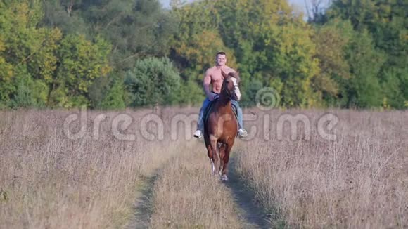 一个体格健壮躯干赤裸的人骑着一匹马从森林里跑出来视频的预览图