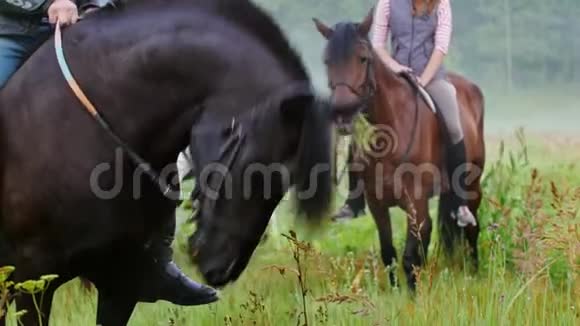大自然中骑马的年轻人棕马在前景中嚼草视频的预览图