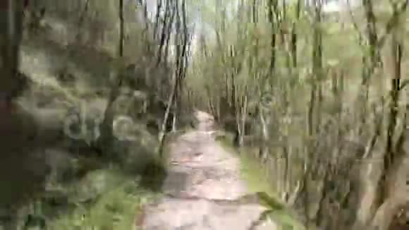 在意大利阿尔卑斯山的树林里的小径上徒步旅行春天的时候一般用途视频的预览图